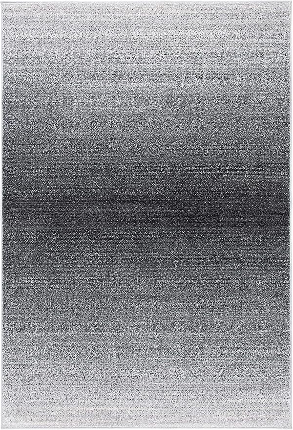 SAFAVIEH Adirondack Collection Accent Rug - 4' x 6', Grey & Dark Grey, Modern Ombre Design, Non-Shedding & Easy Care, Ideal for High Traffic Areas in Entryway, Living Room, Bedroom (ADR142H)